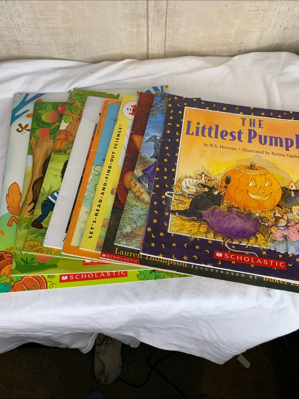 Scholastic Childrens book Bundle
